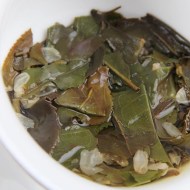 beli-jasmin5