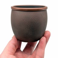 chasha-lotos-izisk5