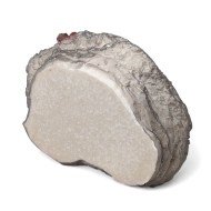 _________________53ef86800f626.png