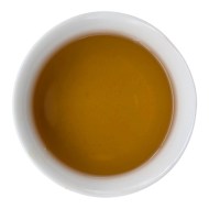 gaba-krasni-koral-3