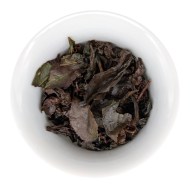 gaba-krasni-koral-4