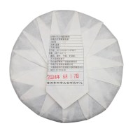 gaba-shy-gyntin2