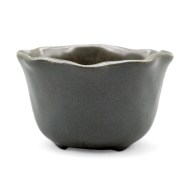 piala-zelen-list-lotosa1