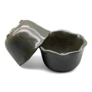 piala-zelen-list-lotosa2