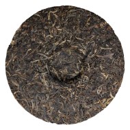 shen7548-2022-4