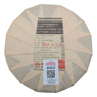 shy-haivan-2024g-2