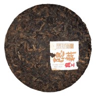 shy-lyan-pin2020g-3