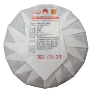shy_pyer-van-gyn100gr2